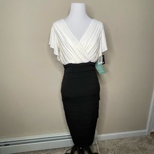 NWT Melrose Dress